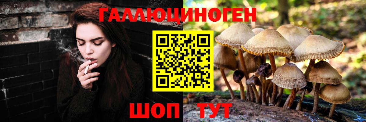 Хасавюрт  Псилоцибиновые грибы Psilocybe  Вход с VPN 